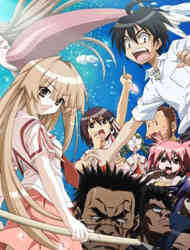 Seto No Hanayome (Dub)